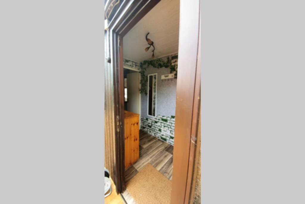 Tiny House Mit Indianerzelt Und Lagerfeuer Im Harz Daire Benneckenstein Dış mekan fotoğraf